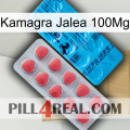 Kamagra Jelly 100Mg new14